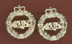 2nd Dragoon Guards Queens Bays QDG staybright collar badges