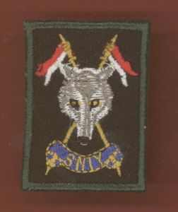 The Scottish & North Irish Yeomanry OR's bullion beret badge