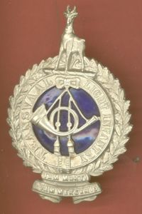 South African Transvaal Light Infantry helmet badge