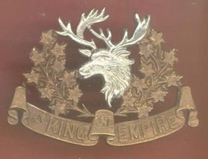 16th Canadian Light Horse Officer's Cap Badge