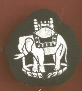 10th Princess Mary's Own Gurkha Rifles bullion arm badge
