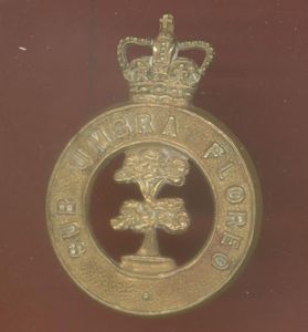 British Honduras Defence Force or Volunteer Guard cap badge