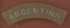 ARGENTINA Royal Air Force WW2 Officer cloth shoulder title