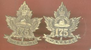 Canadian 175th Medicine Hat, Alberta Bn. WW1 CEF collar badges