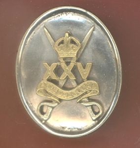 25th Dragoons WW2 War raised NCO's arm badge