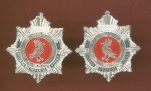 Guyana Defence Force staybright collar badges