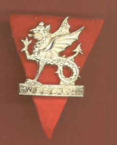 Wessex Brigade Officer's / NCO's cap badge