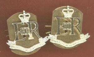 Military Provost Staff Corps staybright collar badges