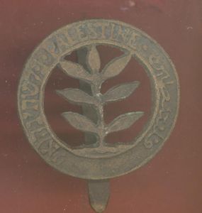The Palestine Regiment WW2 cap badge