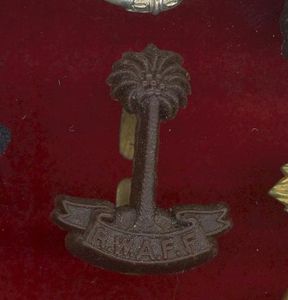 Royal West African Frontier Force WW2 plastic economy beret badge