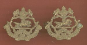 South African Natal Royal Regiment Edwardian collar badges