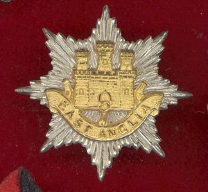 The East Anglian Brigade Officer's cap badge