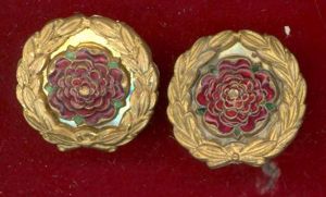 Royal Hampshire Regt. Officer's mess dress collar badges