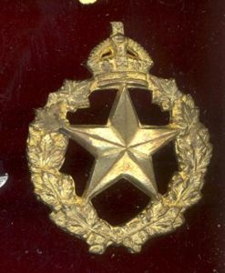 Canadian Le Regiment De Montmagny WW2 cap badge