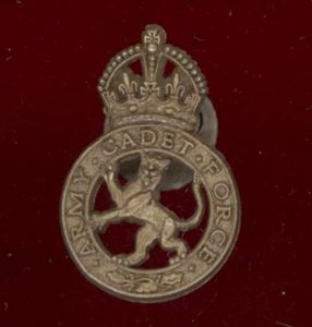 Army Cadet Force plastic economy lapel badge