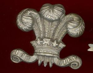 10th Royal Hussars WW2 JNCO's arm badge