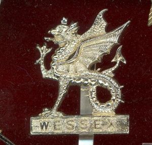 Wessex Brigade staybright cap badge