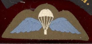 WW2 Parachute Qualification Wings