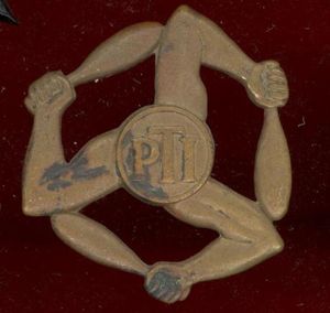 Royal Air Force PTI Instructors arm badge