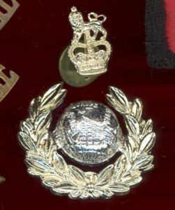 Royal Marines Officer's staybright beret badge