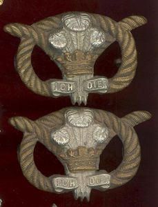 North Staffordshire Regiment Victorian OR's collar badges