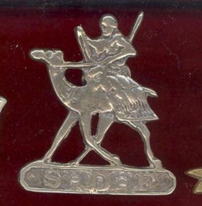 Sudan Defence Force Head-dress badge