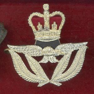 Royal Air Force Warrant Officer's staybright sidecap badge