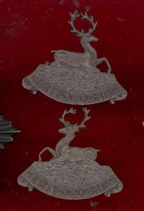 Hertfordshire Regiment Officers OSD collar badges