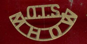 Indian Army OTS / MHOW shoulder title