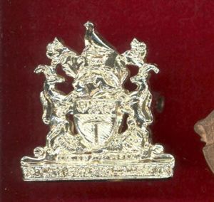 Southern Rhodesia Native Department staybright cap badge