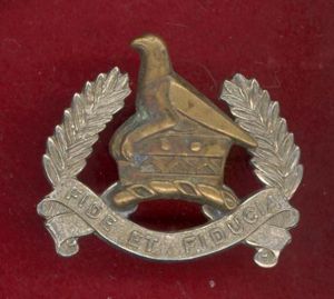 African Zimbabwe Army Pay Corps cap badge
