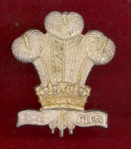 Royal Regiment of Wales Officer's cap badge