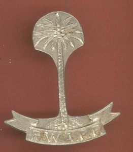 Royal West African Frontier Force WW2 Officer's cap badge