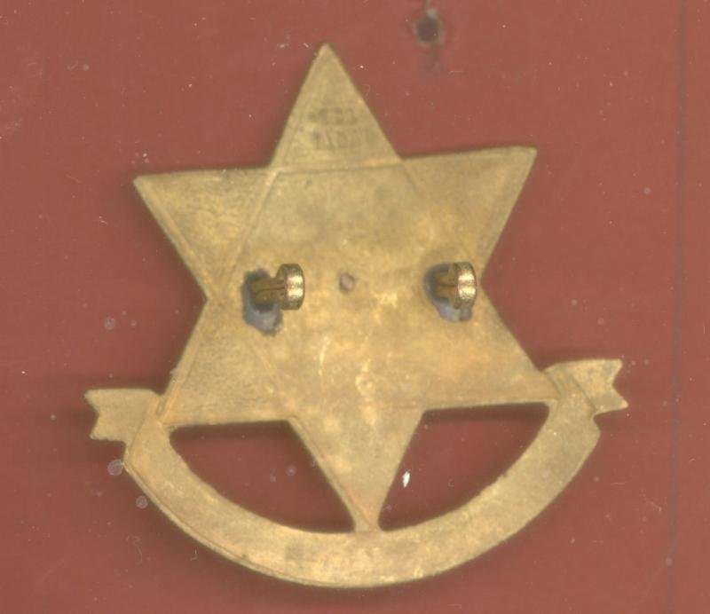 Trinidad & Tabago Regiment Officer's cap badge — image 2