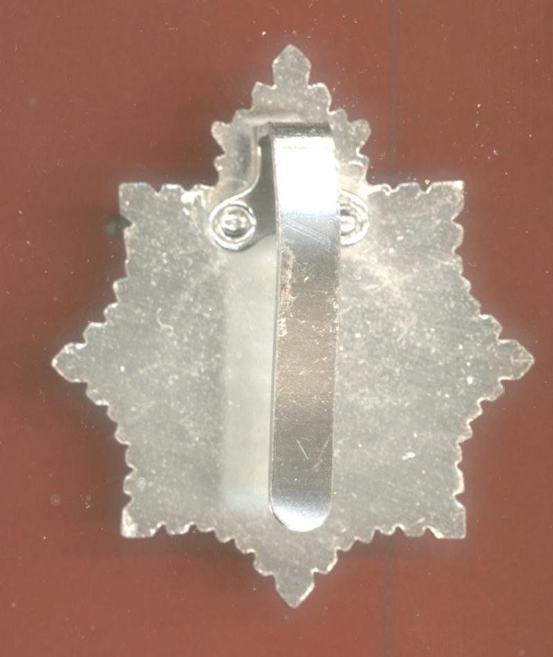 2nd Battn. Volunteers Guyana Defence Force staybright headdress badge — image 2