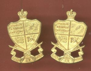 Trinidad & Tobago Cadet Force collar badges