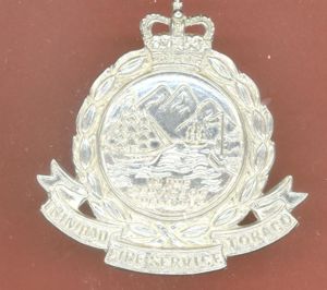 Trinidad & Tabago Fire Service cap badge