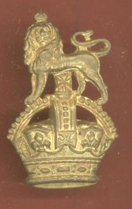 British Army Staff Officer / Brigadier F.S. pagri badge