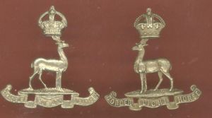 South Africa. Border Light Horse Edwardian collar badge