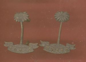 Royal West Africa Frontier Force collar badges