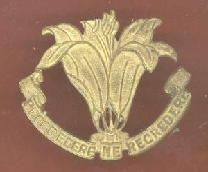Canadian The Assiniboia Regiment (Saskatchewan) Cap Badge