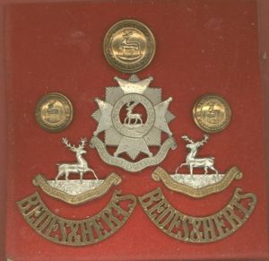 Bedfordshire & Hertfordshire Regiment OR's badge set