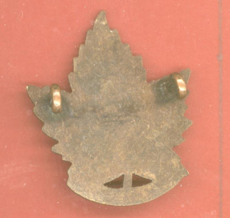 Canadian 46th Regina, Saskatchewan Bn. WW1 CEF cap badge — image 2