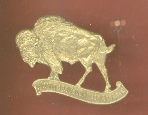 Canadian The Manitoba Volunteer Reserve Cap Badge