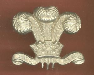 10th Royal Hussars JNCO's arm badge