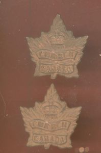 Canadian 2nd Mounted Rifles WW1 CEF collar badge2