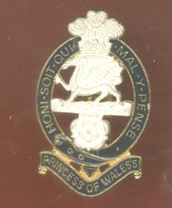 The Princess of Wales's Regiment cap badge