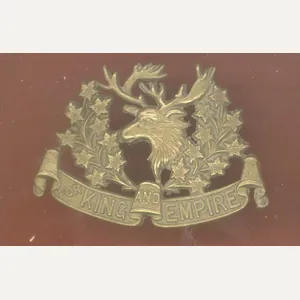 16th Canadian Light Horse OR's Cap Badge