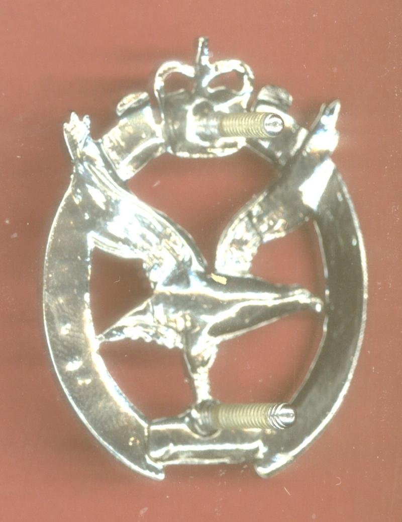 Glider Pilot Regiment beret badge — image 2