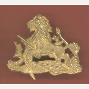 Rhodesia British South African Police cap badge